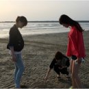 바다축산 이미지