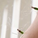 도마한의원 이미지