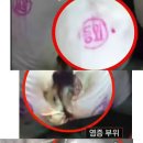 통돼지 - 부천시 오정구 원종로51번길 27 | 통돼지