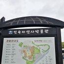 표선 청소년문화의 집 주차장 | 비 오는 날 제주 여행, 검색 하나로 발견한 보물 같은 곳 — 제주민속자연사박물관