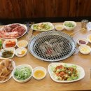 화끈한갈매기 이미지