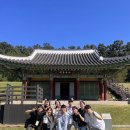 열매달