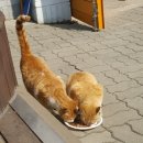 주교청소년자유공간 이미지