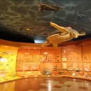 강화자연사박물관 이미지