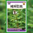 씨드