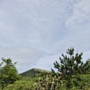 금당목장 이미지