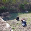 왕촌농장 이미지