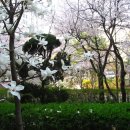 정발산 도당굿 이미지