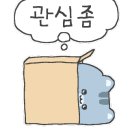 단댄스 이미지