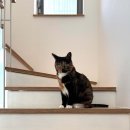 대한건축사사무소 이미지