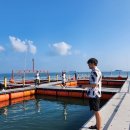 왜목마을 좌대낚시터 이미지