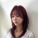 살롱드레브 이미지