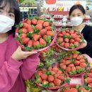 청계산로C 이미지