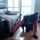 주식회사 에코크린 이미지