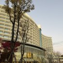 세븐일레븐 전주평화호반점 | [경주] 힐튼 대신 선택한 라한셀렉트 경주, 디럭스 트윈 레이크뷰 솔직 후기, 조식메뉴 부대시설