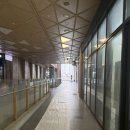 삼송역(3호선) | 삼송역 필라테스 추천 체형교정과 운동자세 잡기위해 방문했던 엘리필라테스 솔직후기