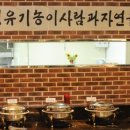 청미래유기농출장부페 이미지