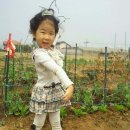 나린농장 이미지