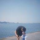 20260523 로이의 26번째 캠핑, 당진 난지도 국민여가 캠핑장