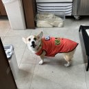 삼천병마로 | 수원 오목천카페 두바이초콜렛붕어빵 쉼카페 내돈내산 웨이팅 후기