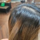 머리여행 미용실 | 여행 후 망한 머리 부천 미용실 엘리아더에서 정리한 후기