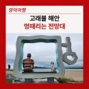 멍 때리는 전망대 이미지