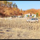 이산면사무소 이미지