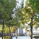 미나리어린이공원 이미지