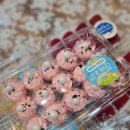 송학초병설유치원 이미지