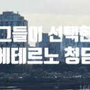 와이제이 홀딩스 이미지