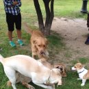 수원-0921 이미지