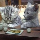 아 이미지