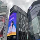 패밀리짐 | [대만-타이페이] 가족숙소 ‘미드타운 리처드슨’ 창문없는 패밀리룸 숙박후기 | 셀프짐보관, 코인세탁