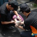 서원동-53 이미지