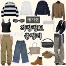 배지연 옷 안경 선글라스 바지 가방 신발 정보(유튜브 룩북 착장 총정리)