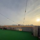 헤이퍼피 이미지