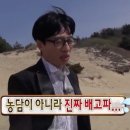 형제카서비스 | 서울 신상 밝은홀_더베르G 본식 후기 (시선미/대절버스/연회장/정산 등 총평!)