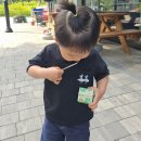 돌아기 어린이 저당 요구르트 다래요구르트 추천