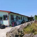 표선리-1 이미지