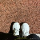 화이트폼 | 러닝화 뉴발란스 프레쉬폼 모어v6 여성 화이트 후기