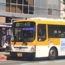 뉴마재 이미지
