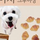 빵먹는 강아지 이미지