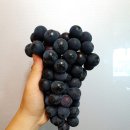 영진모텔 이미지