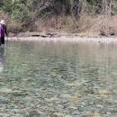 Golden Ears Canyon Loop 이미지