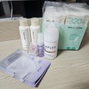소피앤본드 | 올리브영 세일 마지막날 블랙 올리브가 구매한 것과 꿀팁