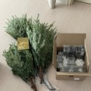 #까사무띠 2024 뉴보그 트리 150cm + 클리어 오너먼트🎄∗ˈ‧₊° (ft. 신혼집 트리추천)