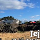 두근두근하우스 in 성산 이미지
