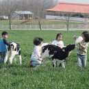 낙농목장 이미지