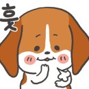 댕댕이냥냥 이미지