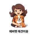 에버펫 동물병원 이미지